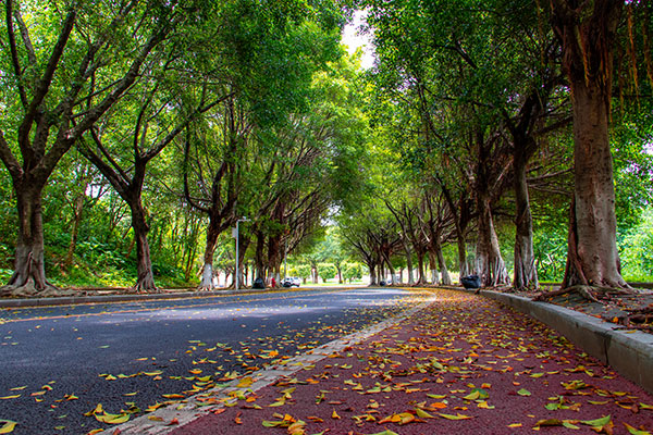 微型環境空氣質量監測站系統方案